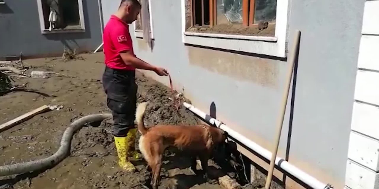 BOZKURT’TA HAYATINI KAYBEDEN 3 KİŞİYE DAHA ULAŞILDI