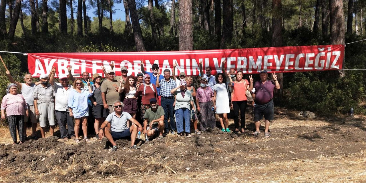 MERAL AKŞENER YARIN BODRUM VE MİLAS’TA YANGIN BÖLGELERİNİ ZİYARET EDECEK