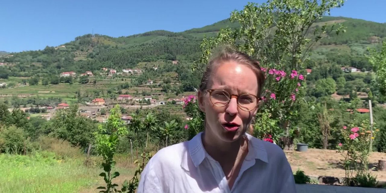 ŞEHİR PLANLAMA UZMANI RİBEİRO: “ÇEVRE DÜZENİ PLANI, BOZKURT’UN YERLEŞİM ALANINI YAKLAŞIK İKİ KATINA ÇIKARMIŞ”