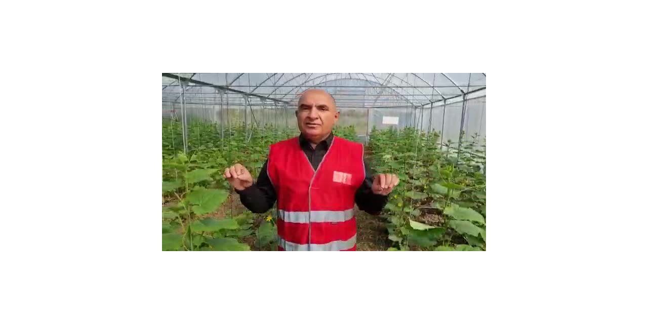 KOCAELİ’NDE “HALKIN SERASI PROJESİ” HAYATA GEÇİRİLDİ