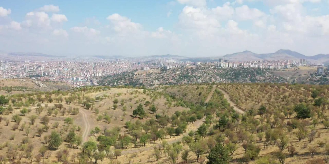 ANKARA'YA "YENİ AOÇ" GELİYOR