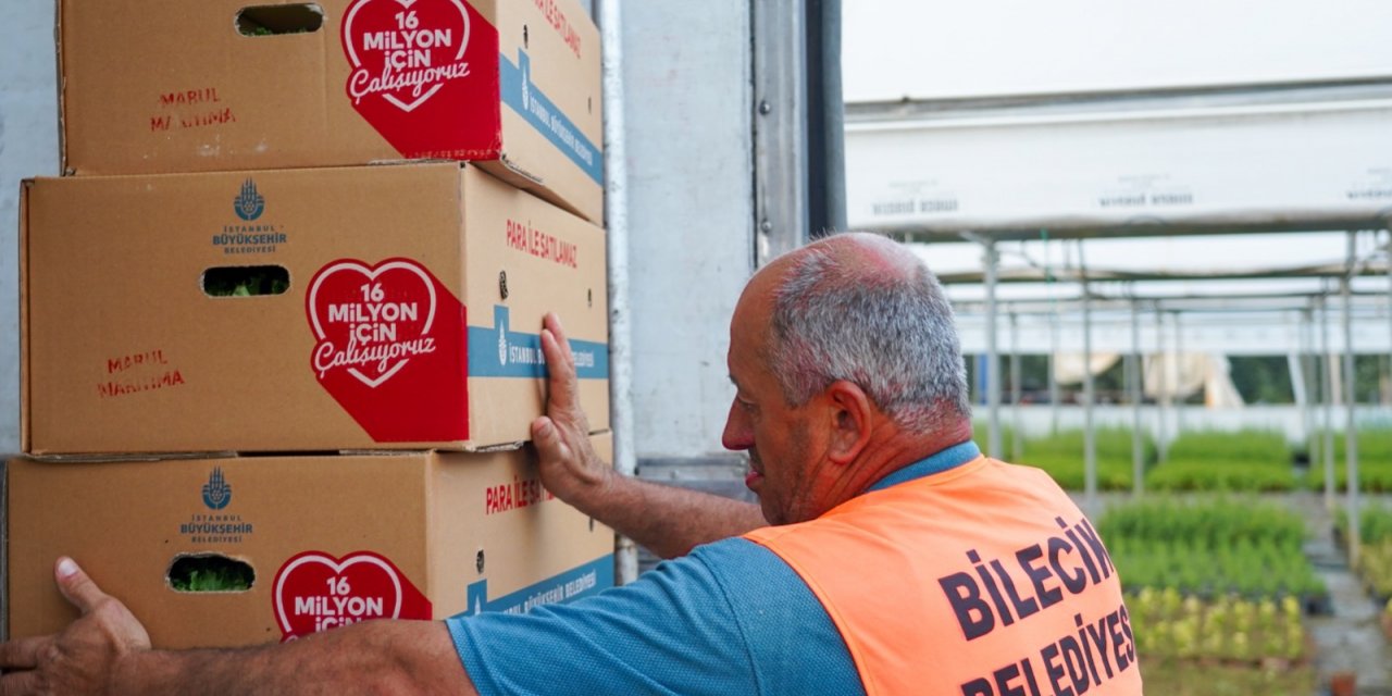 BİLECİK BELEDİYESİÇİFTÇİLERE 118 BİN 750 ADET SEBZE FİDESİ DAĞITACAK