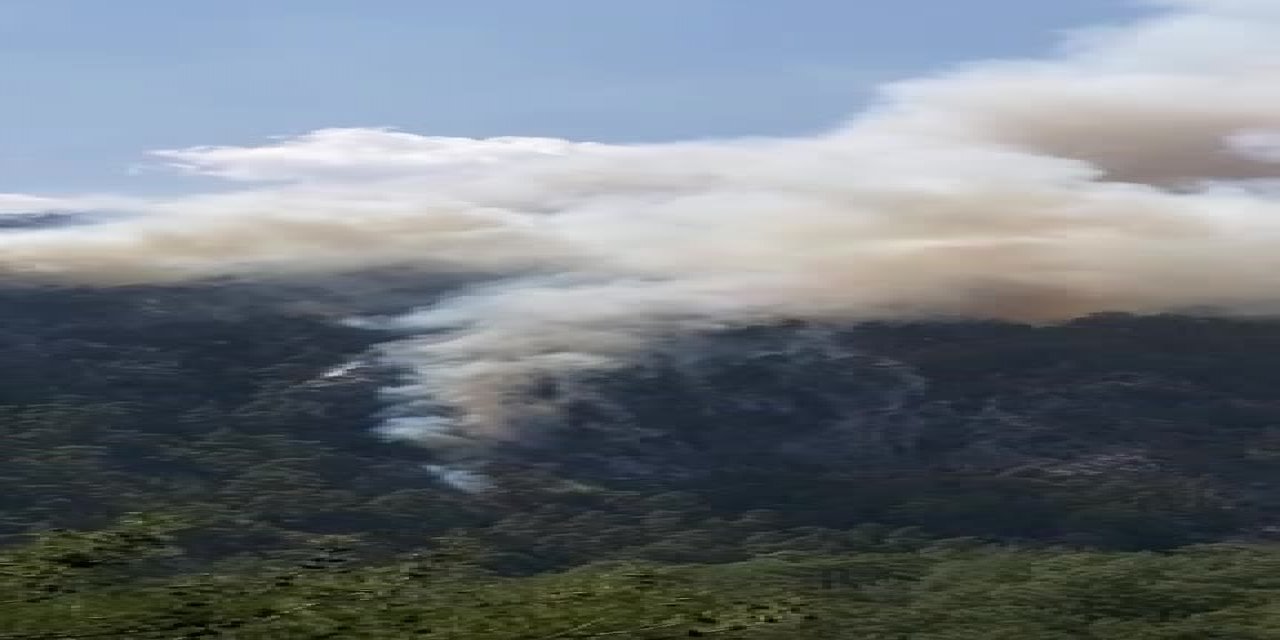 MUĞLA KÖYCEĞİZ’DE ORMAN YANGINI