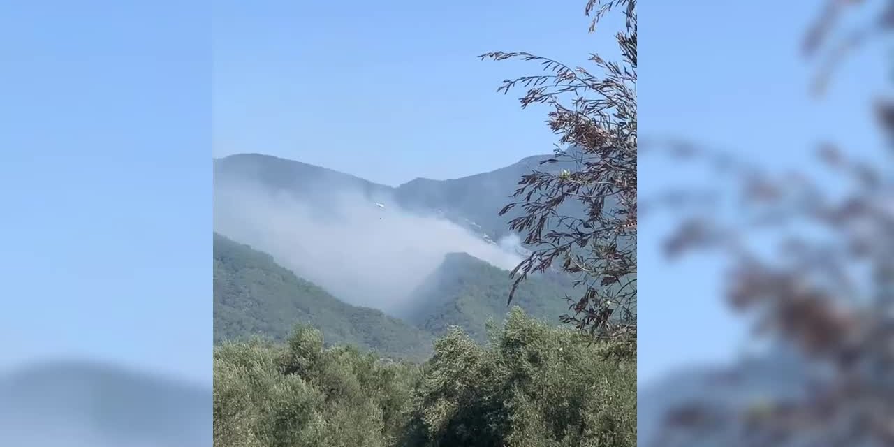 KAZDAĞLARI'NDA ORMAN YANGINI