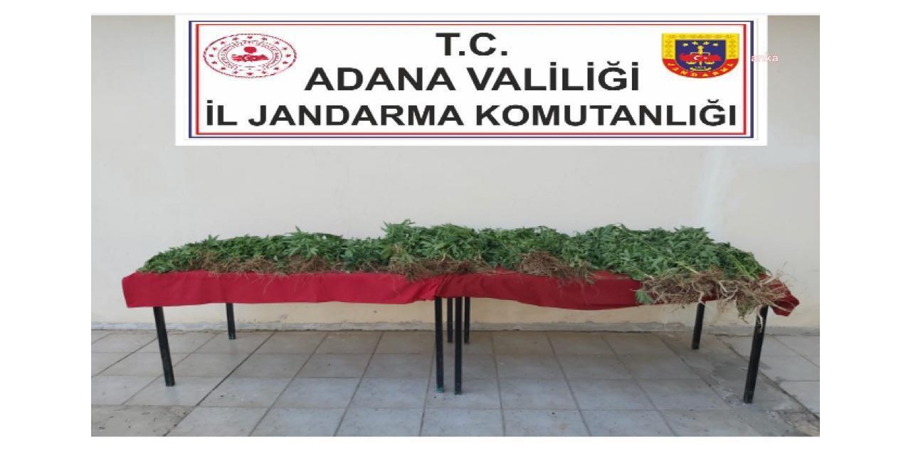 ADANA’DA UYUŞTURUCU OPERASYONLARINDA 52 ŞÜPHELİ HAKKINDA YASAL İŞLEM YAPILDI