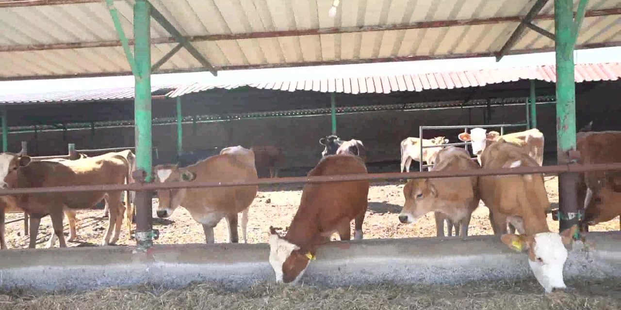 ATAKUM BELEDİYESİ’NDEN KIRSAL KALKINMAYA DESTEK