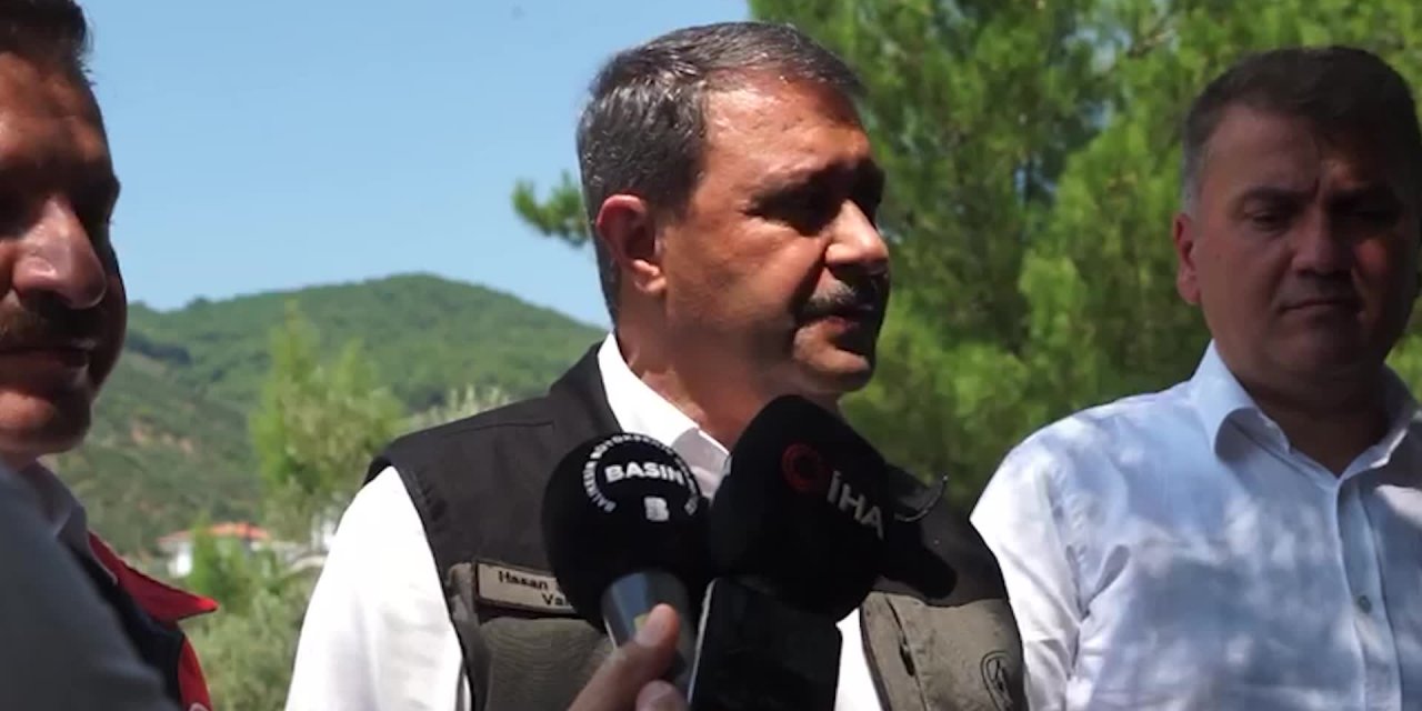 BALIKESİR VALİSİŞILDAK: YANGINA KARADAN MÜDAHALE BAŞLADI