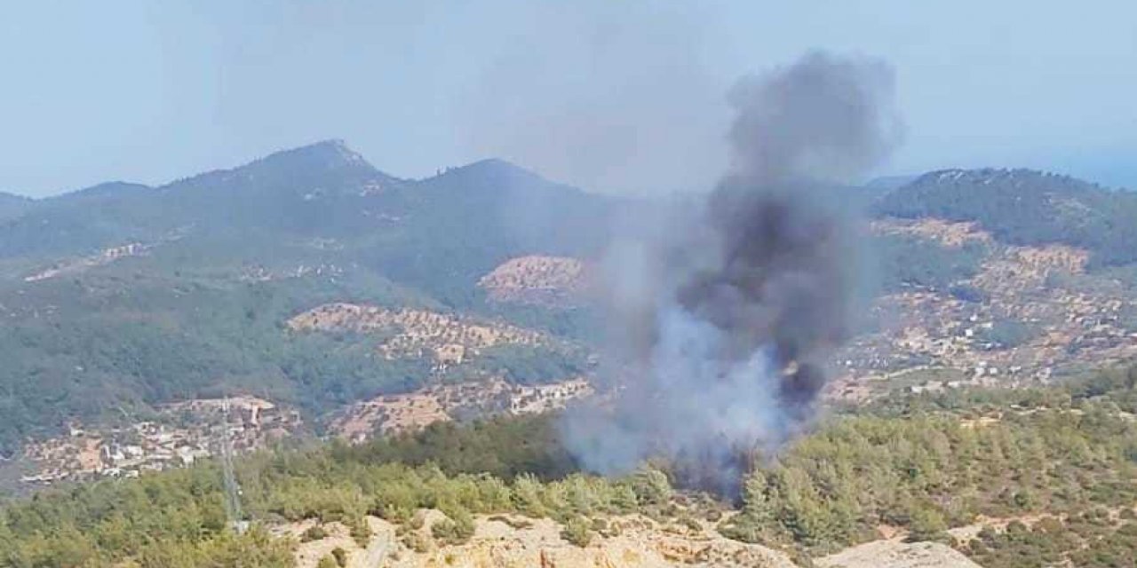 BODRUM ÇİFTLİKKÖY’DE ORMAN YANGINI