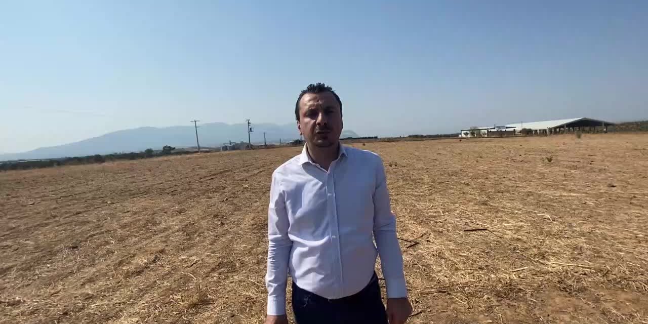 TMO'NUN ARPA İHALESİNE CHP’Lİ BAŞEVİRGEN'DEN TEPKİ: “SENEYE EKECEK TOHUM BULAMAYACAĞIZ”