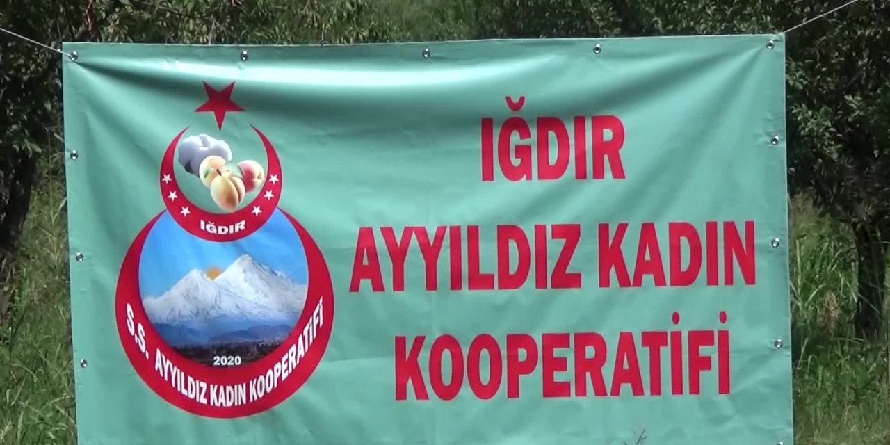 IĞDIRLI KADINLAR, KURDUKLARI KOOPERATİF İLE YÖRE ÜRÜNLERİNE EKONOMİK DEĞER KATIYOR