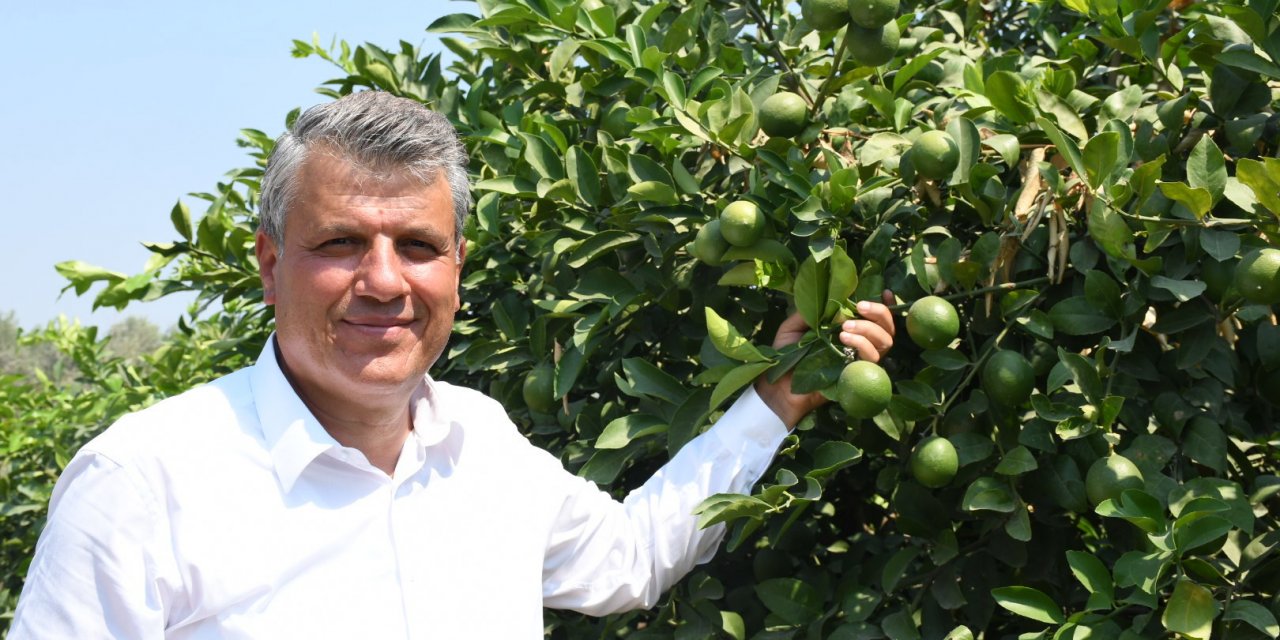 CHP'Lİ BARUT, NARENCİYE İHRACATINDA ANALİZ ŞARTINA TEPKİ GÖSTERDİ