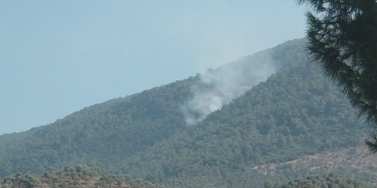 MUĞLA MİLAS’TA ORMAN YANGINI BAŞLADI