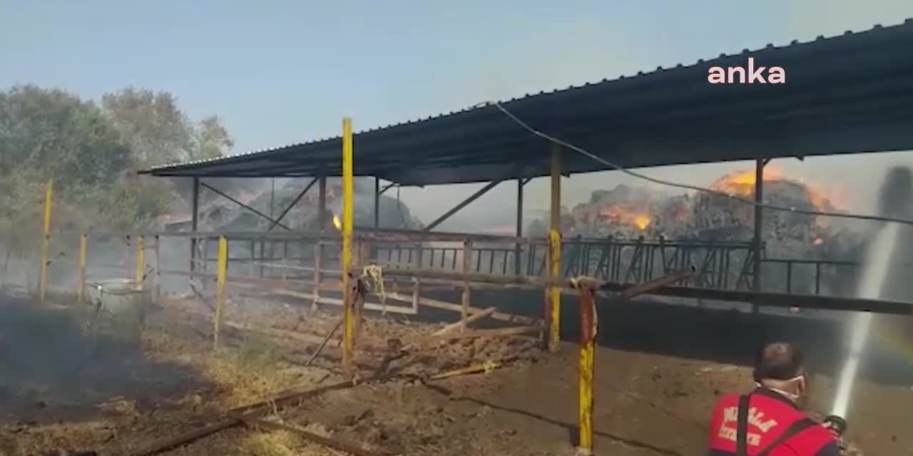 ORMAN İŞLETME MÜDÜRLÜĞÜ, YANGINLARDAN ÖNCE ÇIKTIĞI İHALENİN SÖZLEŞMESİNİ YANGINDAN SONRA İMZALADI