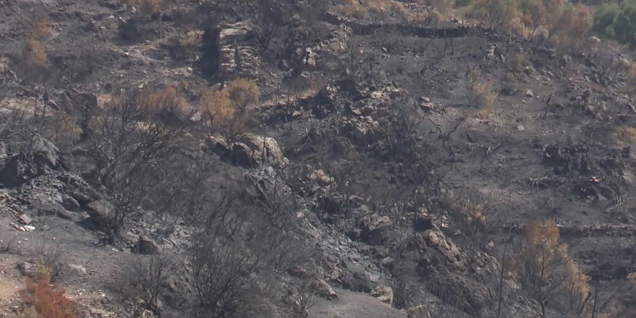 KILIÇDAROĞLU, MUĞLA'DA: "FELAKETİ EL BİRLİĞİYLE, GÖNÜL BİRLİĞİYLE İNŞALLAH AŞARIZ"