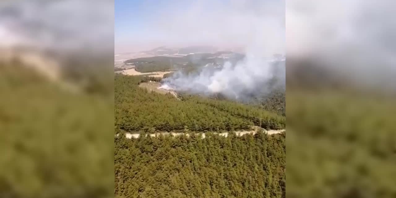 İZMİR FOÇA'DA ORMAN YANGINI