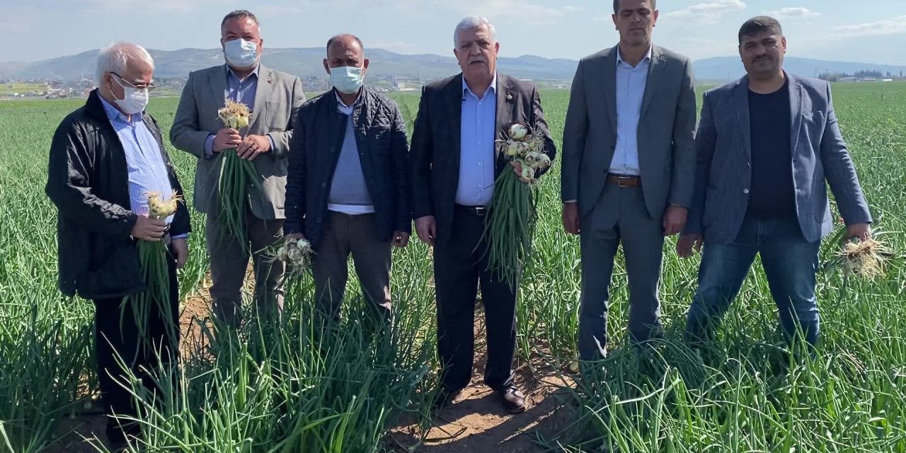 KARA KARA DÜŞÜNEN SOĞAN ÜRETİCİSİ, DESTEKLENMEZSE ARTIK EKİM YAPAMAYACAK