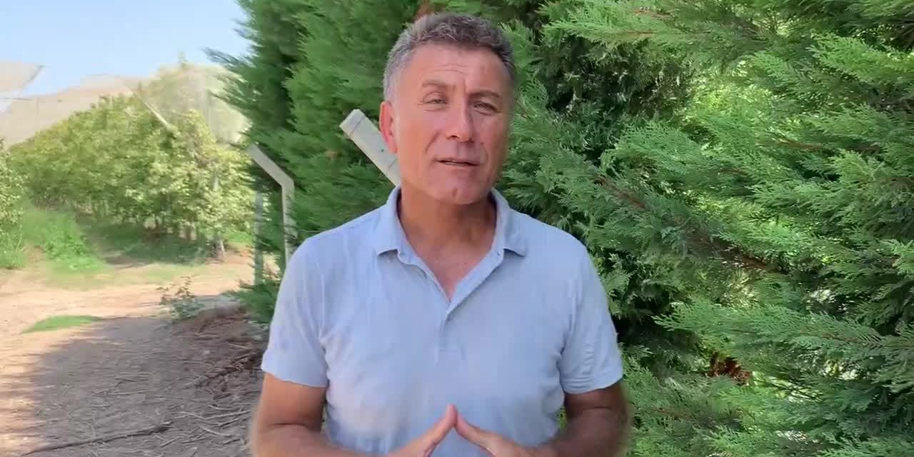 SARIBAL'DAN AYÇİÇEK FİYATLARININ AÇIKLANMAMASINA TEPKİ: "ÇİFTÇİ GELECEK YIL AYÇİÇEK EKMEYEBİLİR"