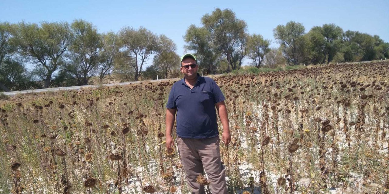 TARLADAKİÜRÜNÜ SUSUZLUKTAN KURUYAN ÇİFTÇİ: "DEVLET ARKAMIZDA DURMADI"