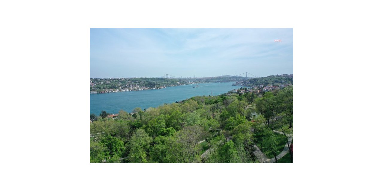 İSTANBUL’DA ORMANLIK ALANLARA GİRİŞ YASAĞI 30 EYLÜL'E KADAR UZATILDI