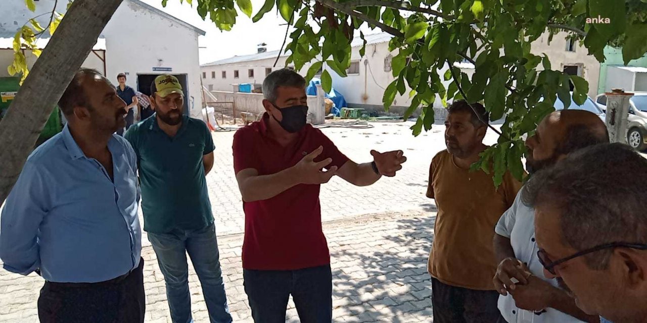 KAYSERİLİ BESİCİLER: “BİR YA DA İKİNCİ YAVRUSUNU ALDIĞIMIZ HAYVANIMIZI KESTİRMEK ZORUNDA KALIYORUZ”