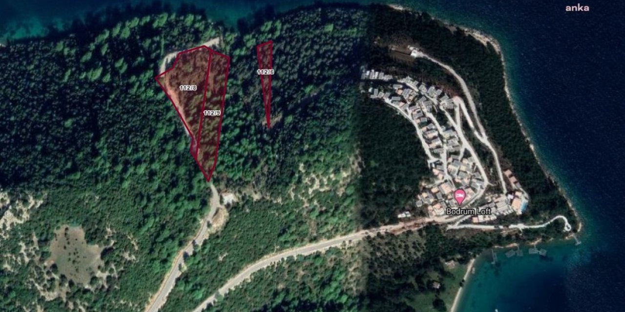 MİLLİ EMLAK BODRUM’DAKİ ZEYTİNLİKLERİ SATIŞA ÇIKARDI