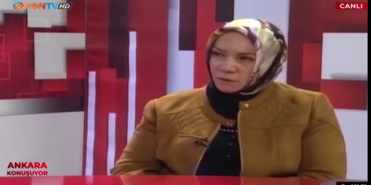 "BEN ANLAMAM" DİYEN AKP’Lİ NERGİS’E CHP'Lİ ARIK'TAN YANIT GELDİ: "KİBAR FEYZO FİLMİNİN İÇERİSİNDE GİBİYİZ"