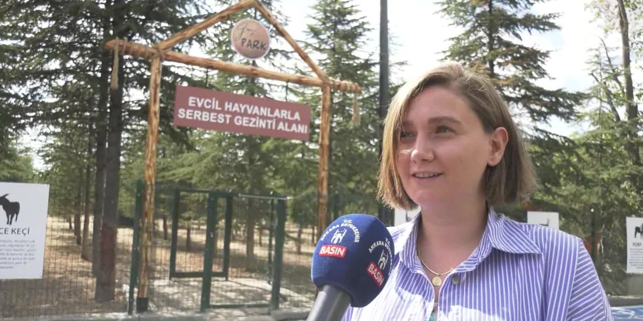 GAZİ PARK YEMYEŞİL DOĞASI VE ETKİNLİK ALANLARIYLA BAŞKENTLİLERİ BEKLİYOR