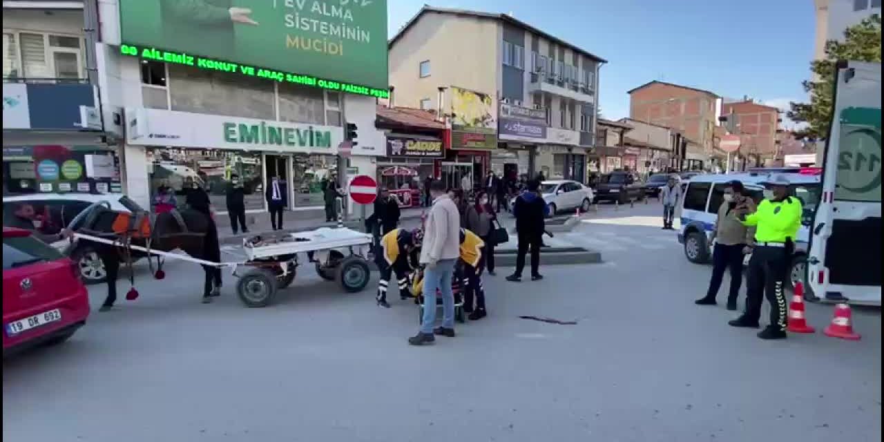 VİRAJI ALAMAYAN AT ARABASI SÜRÜCÜSÜ, YOLCUSUNU DÜŞÜRDÜ