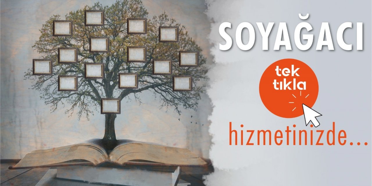 İÇİŞLERİ BAKANLIĞI: VATANDAŞLAR ARTIK NÜFUS MÜDÜRLÜKLERİNE GİTMEDEN SOYAĞAÇLARINI TASARLAYABİLECEK
