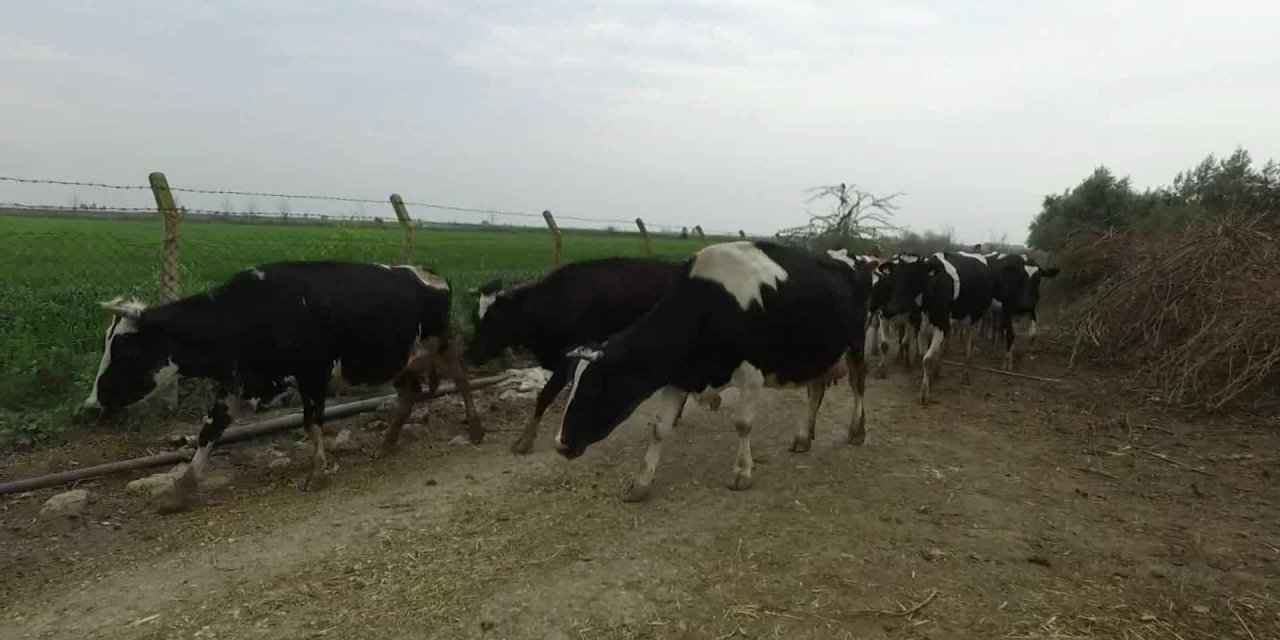 TARSUS BELEDİYESİ’NDEN KÜÇÜK ÜRETİCİYE DESTEK