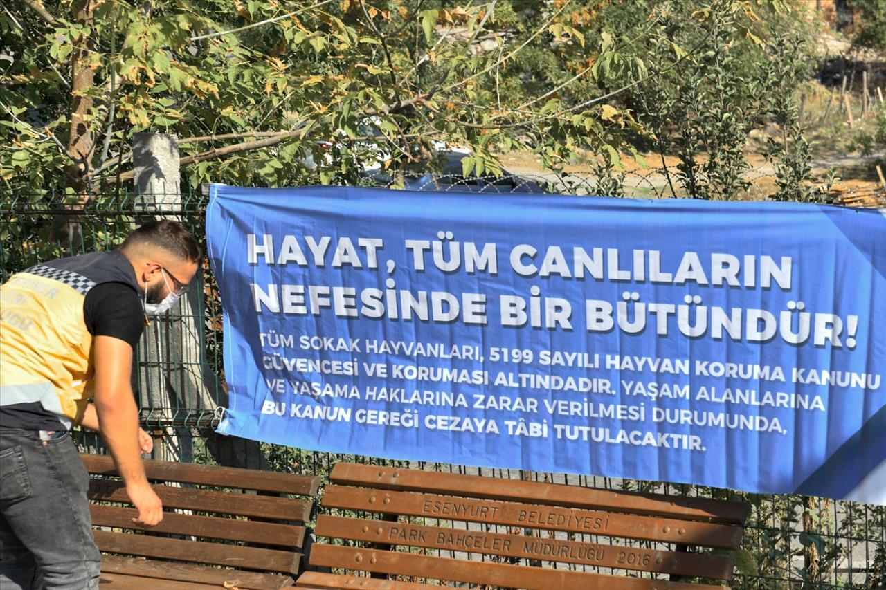 b74rwuIayvlwxpo2xoehknvc.jpg