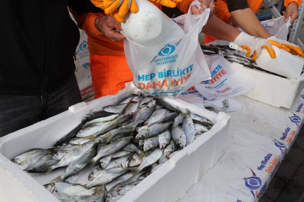 SULTANGAZİ BELEDİYESİ’NDEN ÜCRETSİZ BALIK DAĞITIMI