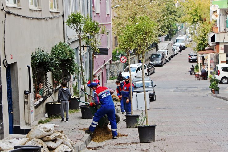 KAĞITHANE’DE YEŞİL GELECEK: HER BEBEK BİR AĞAÇLA BÜYÜYOR