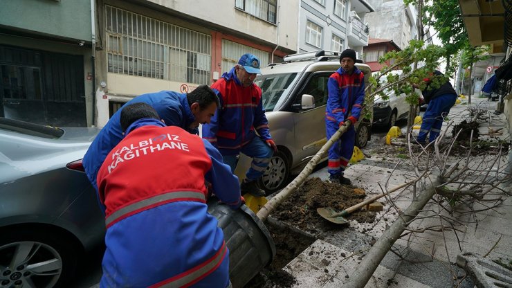 KAĞITHANE’DE YEŞİL GELECEK: HER BEBEK BİR AĞAÇLA BÜYÜYOR