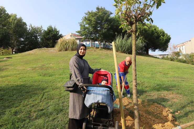 KAĞITHANE’DE YEŞİL GELECEK: HER BEBEK BİR AĞAÇLA BÜYÜYOR