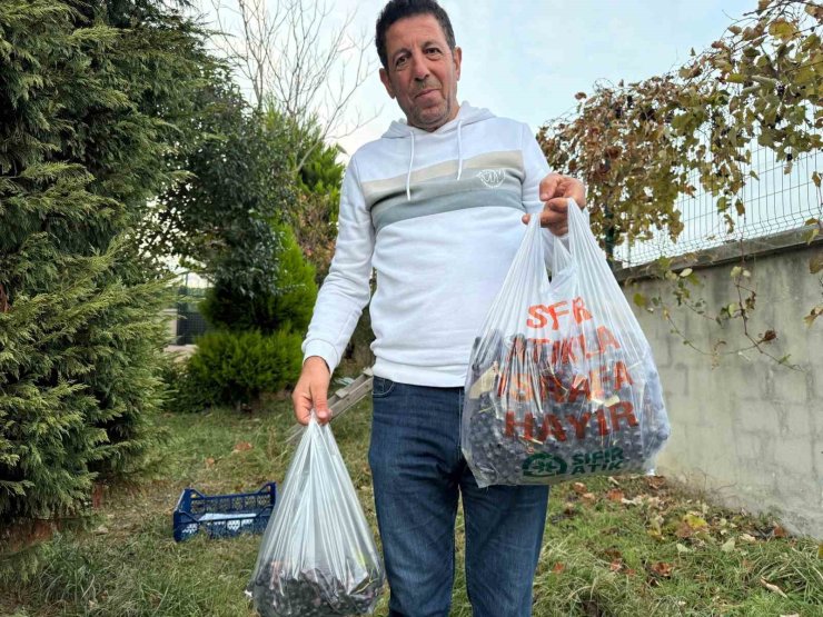 BAHÇESİNDEKİ ÜZÜMÜ İKİNCİ KEZ HASAT ETTİ, KARŞILAŞTIĞI MANZARA KARŞISINDA ŞOK OLDU