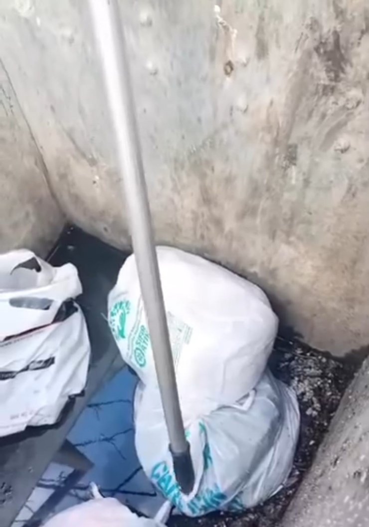 SANCAKTEPE’DE ÇÖP KONTEYNERİNE ATILMIŞ POŞET İÇİNDE 11 YAVRU KÖPEK BULUNDU