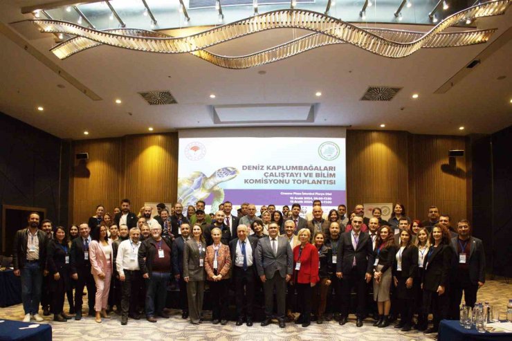 DENİZ KAPLUMBAĞALARI ÇALIŞTAYI VE BİLİM KOMİSYONU TOPLANTISI İSTANBUL’DA GERÇEKLEŞTİ