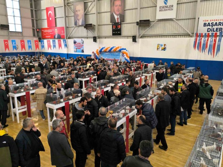 ESENLER GÜVERCİN FESTİVALİ’NE BÜYÜK İLGİ