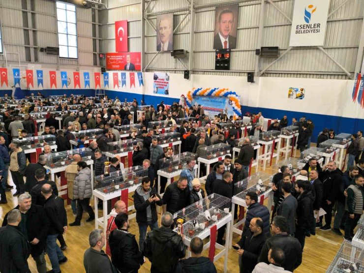 ESENLER GÜVERCİN FESTİVALİ’NE BÜYÜK İLGİ