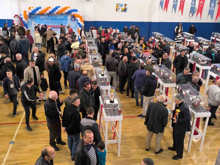 ESENLER GÜVERCİN FESTİVALİ’NE BÜYÜK İLGİ