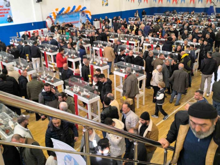 ESENLER GÜVERCİN FESTİVALİ’NE BÜYÜK İLGİ
