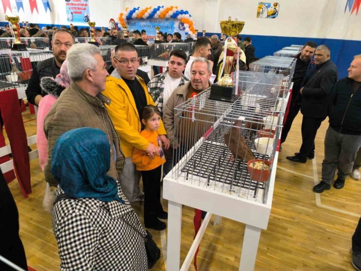 ESENLER GÜVERCİN FESTİVALİ’NE BÜYÜK İLGİ