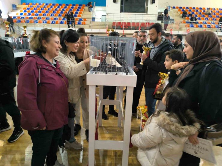 ESENLER GÜVERCİN FESTİVALİ’NE BÜYÜK İLGİ