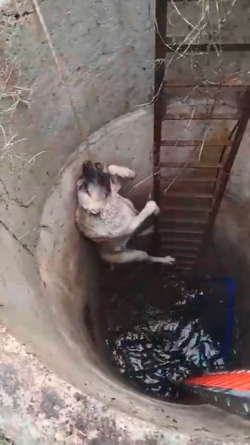 ÇATALCA’DA KUYUYA DÜŞEN KÖPEĞİ İTFAİYECİLER KURTARDI