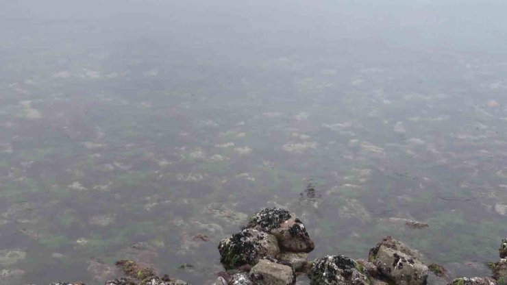 İSTANBUL’DA HAVALAR SOĞUDU, MÜSİLAJ YOK OLDU
