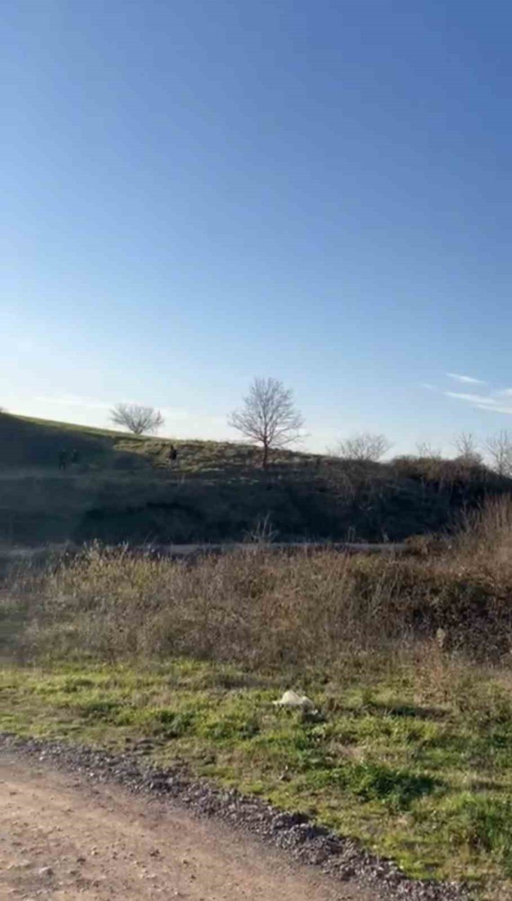 KOCAELİ’DEKİ KANLI CİNAYETİN AYRINTILARI ORTAYA ÇIKTI: BAĞ EVİNDE ÖLDÜRÜP ORMANA GÖMDÜLER