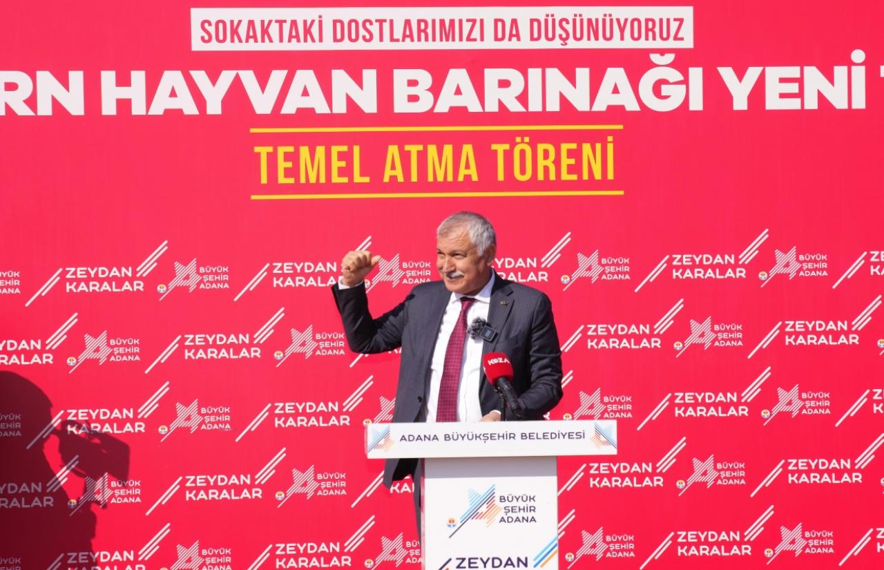 ddeu3lfpm8zbc419yhIrwonx.jpg
