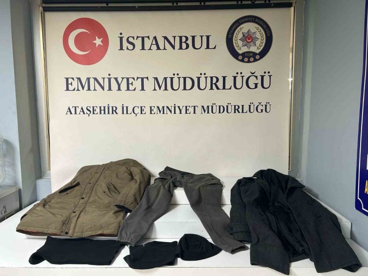 ATAŞEHİR SAPIĞI YAKALANDI