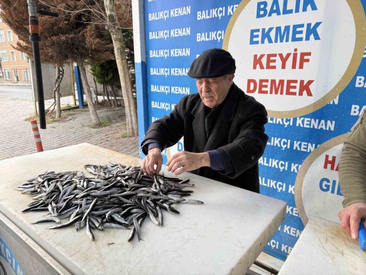 HAVALAR SOĞUDU, BALIKLAR LEZZETLENİP UCUZLADI